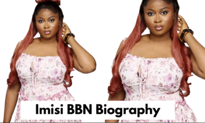 Imisi BBN Biography